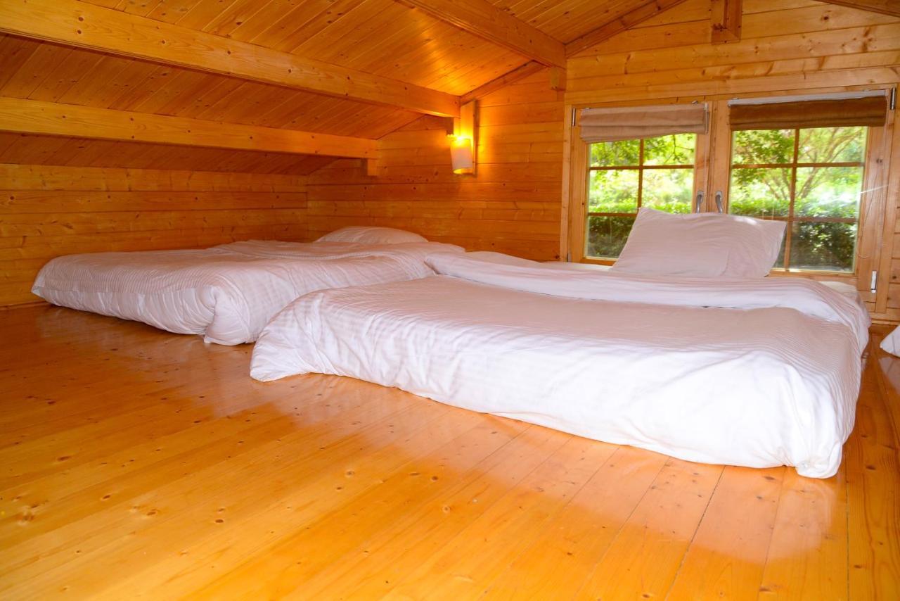 Severine Cottages And Lounge Ltd 奈洛比 外观 照片